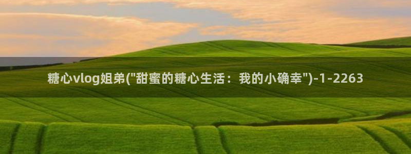 糖心vlog在线打开