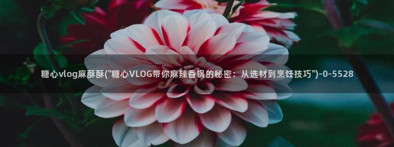 糖心vlog密码