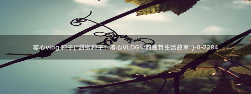 吾爱破解糖心vlog