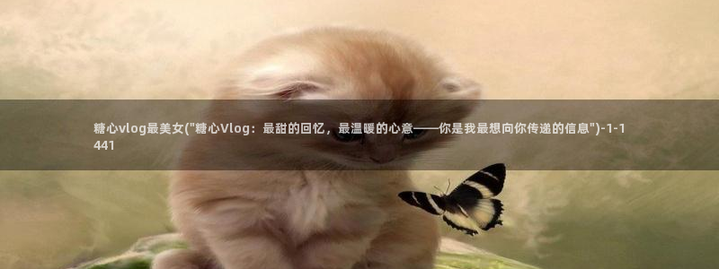 糖心vlog葫芦