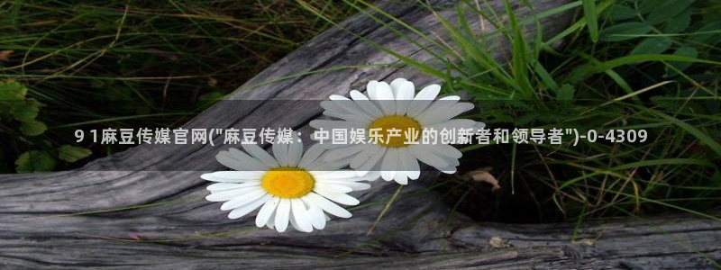 麻豆剧情短片