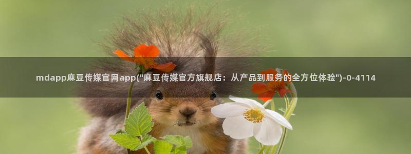 麻豆演员标题