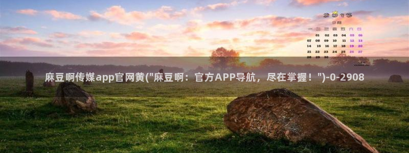 麻豆视频排名词