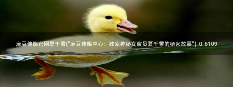 麻豆视频百度优化