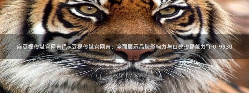 麻豆内容优化
