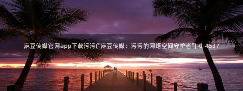 麻豆视频站内文案