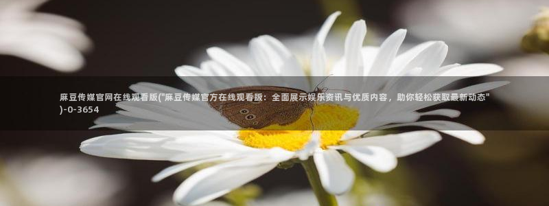 麻豆视频可读内容
