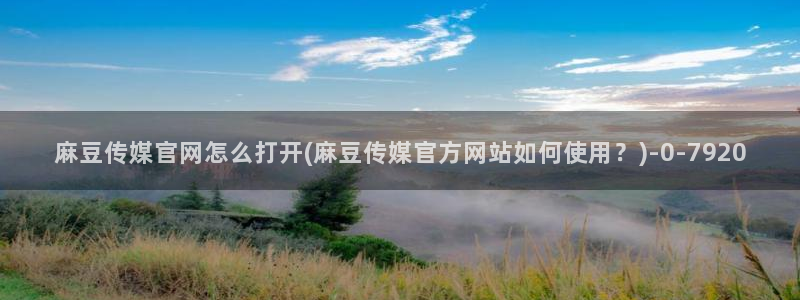 麻豆视频资源站文案