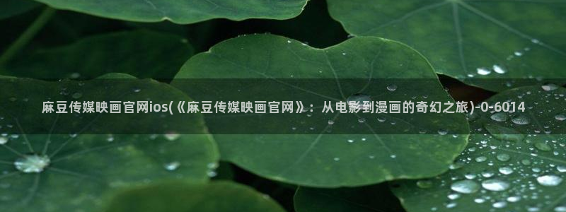麻豆女演员