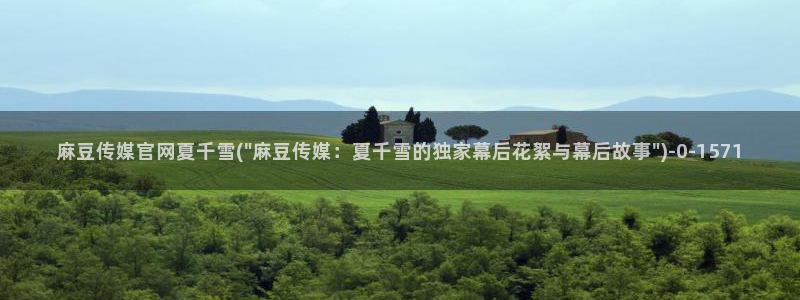 麻豆视频站群文案