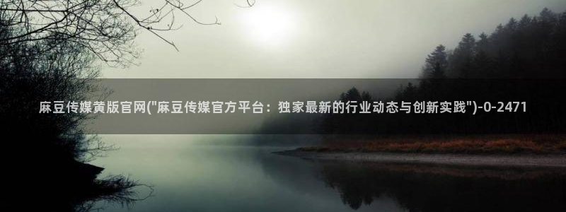 麻豆视频文章描述