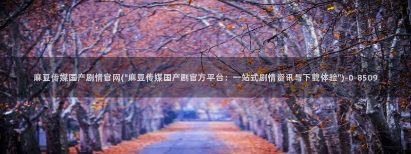 麻豆传媒合集：麻豆传媒国产剧情官网(\