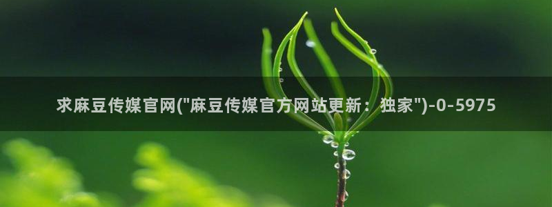 麻豆SEO模板：求麻豆传媒官网(\