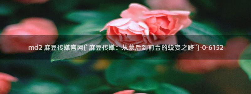 麻豆精选页：md2 麻豆传媒官网(\