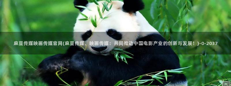 麻豆视频图片规则