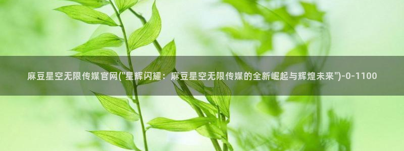 麻豆视频标题规则