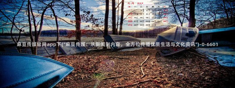 麻豆精品视频