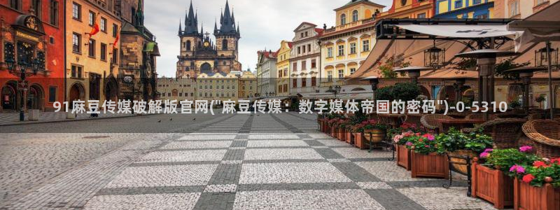 麻豆视频新片文案