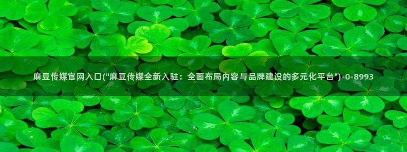 麻豆视频泛目录词