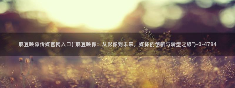 麻豆视频标题规则