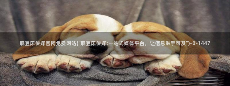 麻豆视频标签规划