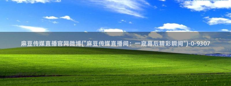 麻豆视频排行文案