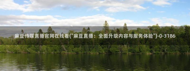 麻豆视频页面关键词
