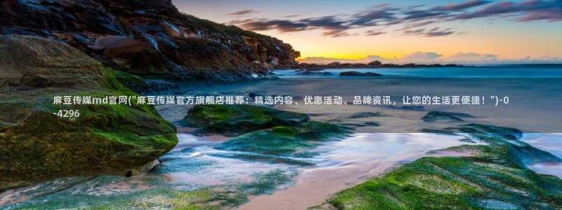 麻豆传媒在线观看