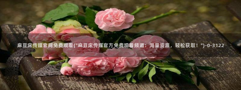 麻豆高口碑视频